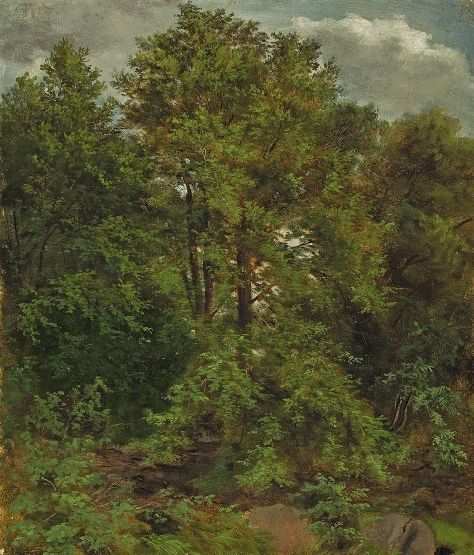 Pillnitzin Elben saarelta peräisin oleva kuva-aihe tekijältä Carl Gustav Carus