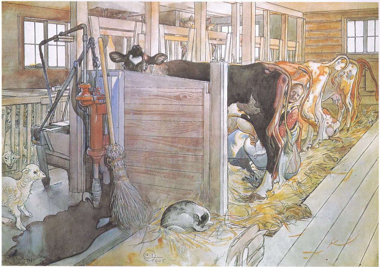 Johana lypsämässä lehmiä tekijältä Carl Larsson