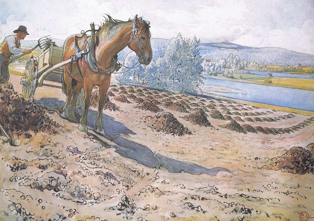 Sumu leviää kesantopellolle tekijältä Carl Larsson