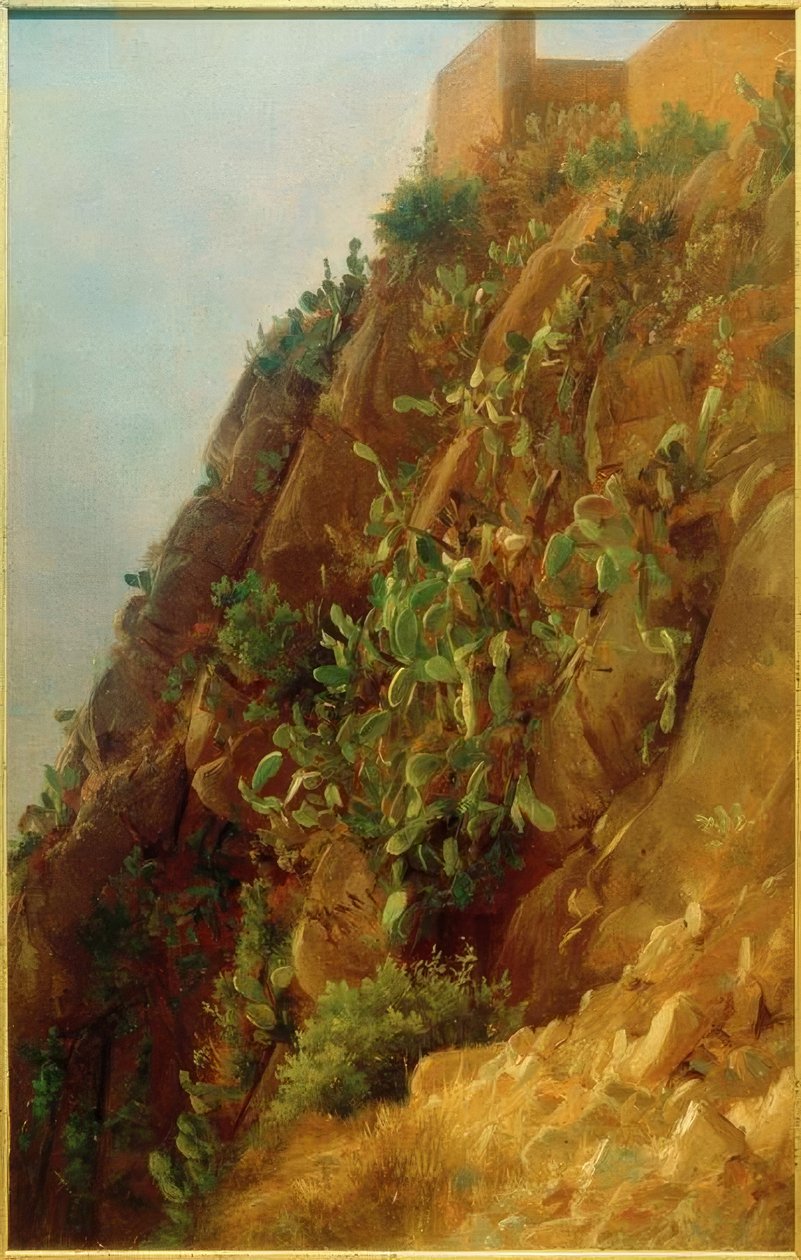 C. Morgenstern, Opuntien am Hang auf Capri tekijältä Carl Morgenstern