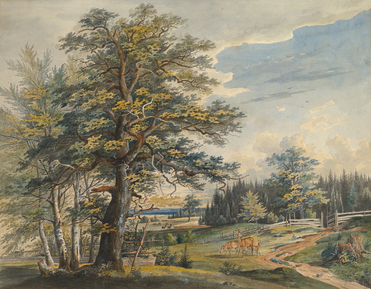 Metsäinen maisema ja polttarit, 1800-1877. tekijältä Carl August Lebschee