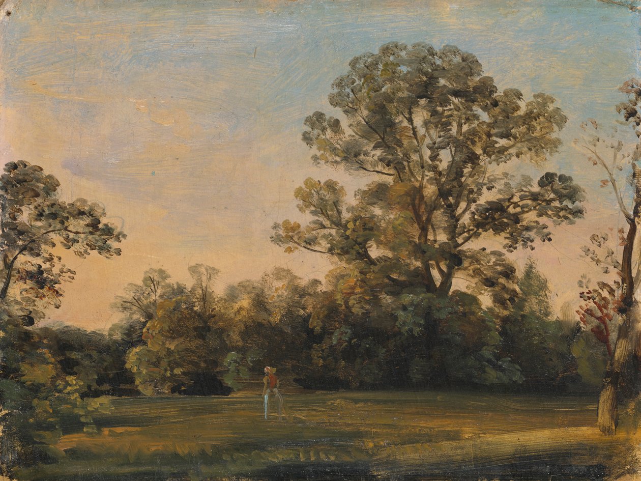 Metsämaisema, jossa linna veden päällä tekijältä Carl Blechen