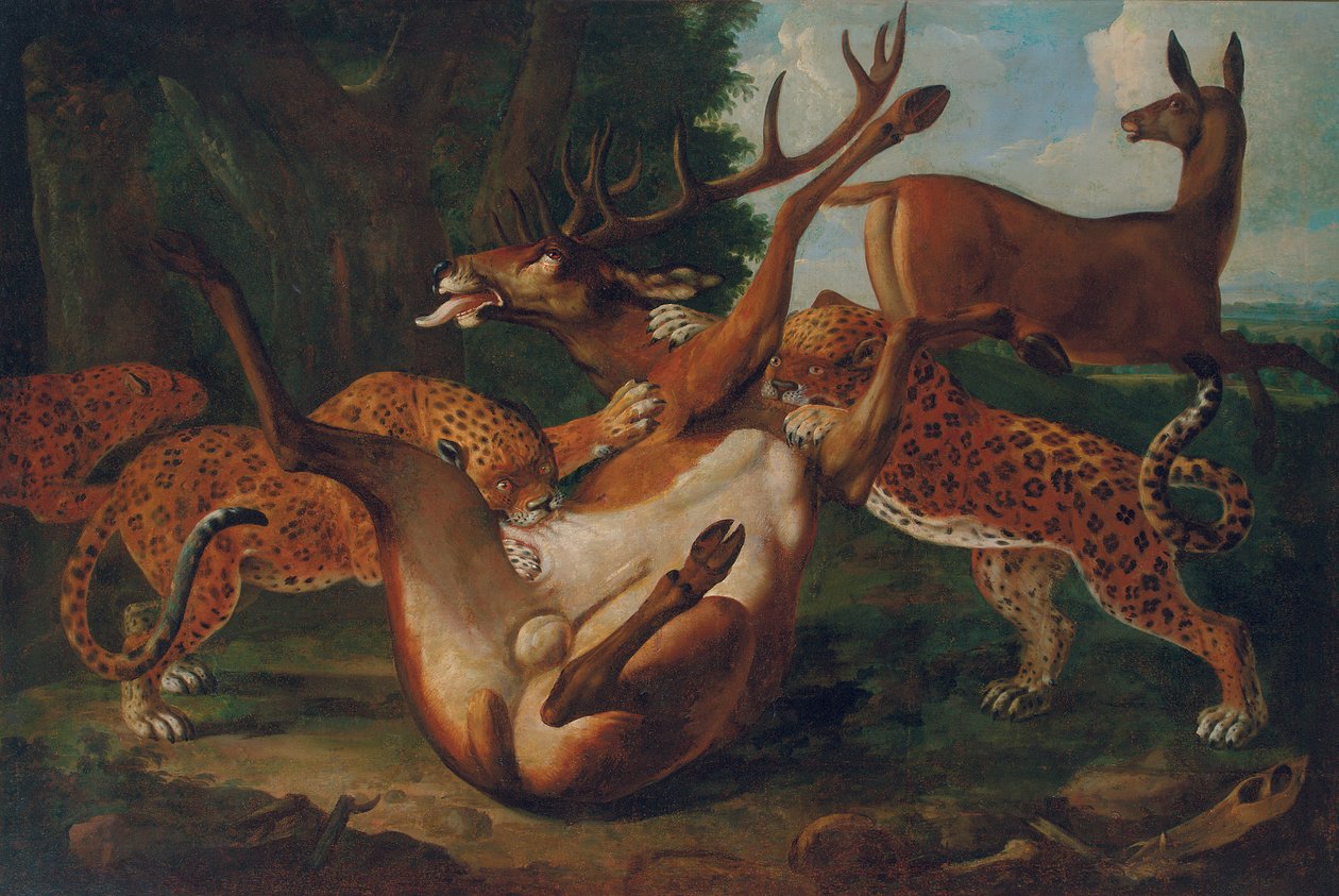Leopardit hyökkäämässä peuroja maisemassa tekijältä Carl Borromaus Andreas Ruthart