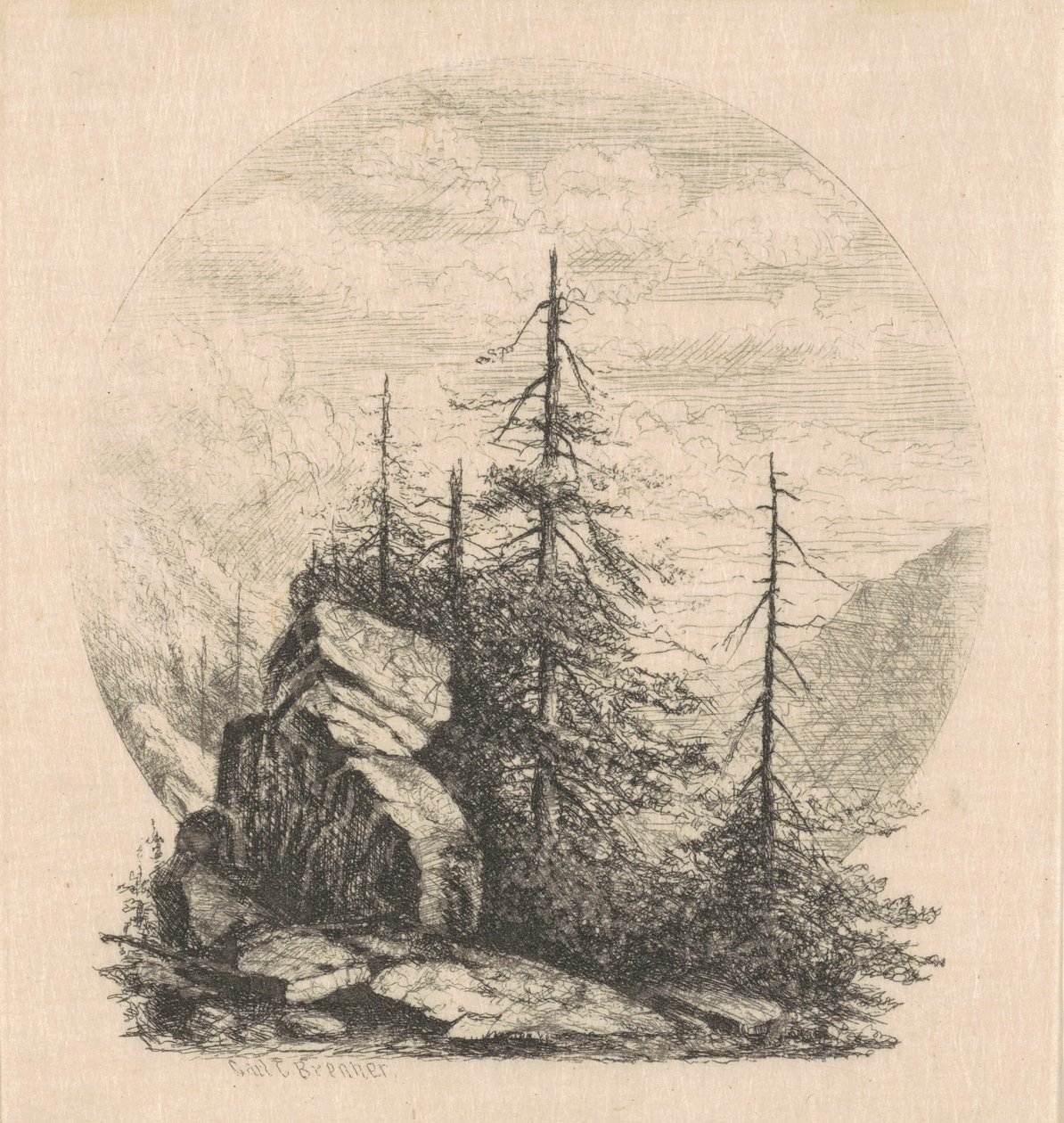 Pines tekijältä Carl C. Brenner