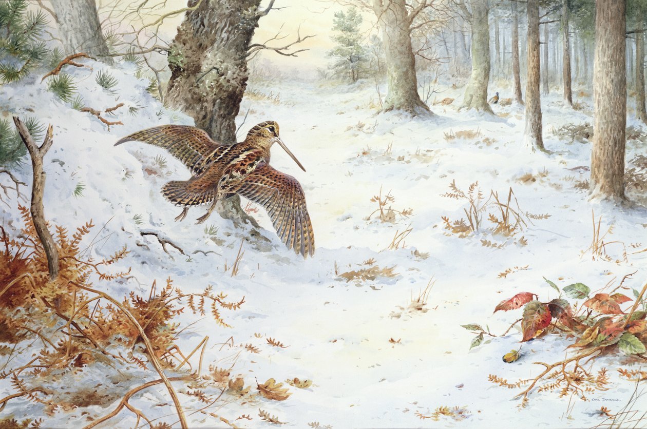 Huonekalut ja erilaiset esineet 1100- ja 1300-luvuilta tekijältä Carl Donner