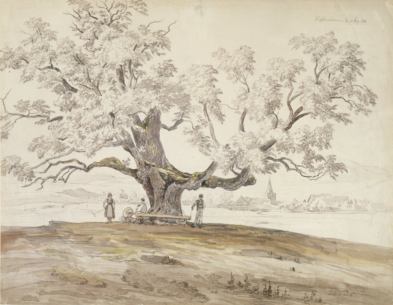 Näkymä Wolfershausen bei Meiningenistä vanhalla tammipuulla, 1844 (grafiitti & wc paperilla) tekijältä Carl Ernst Ludwig Wagner
