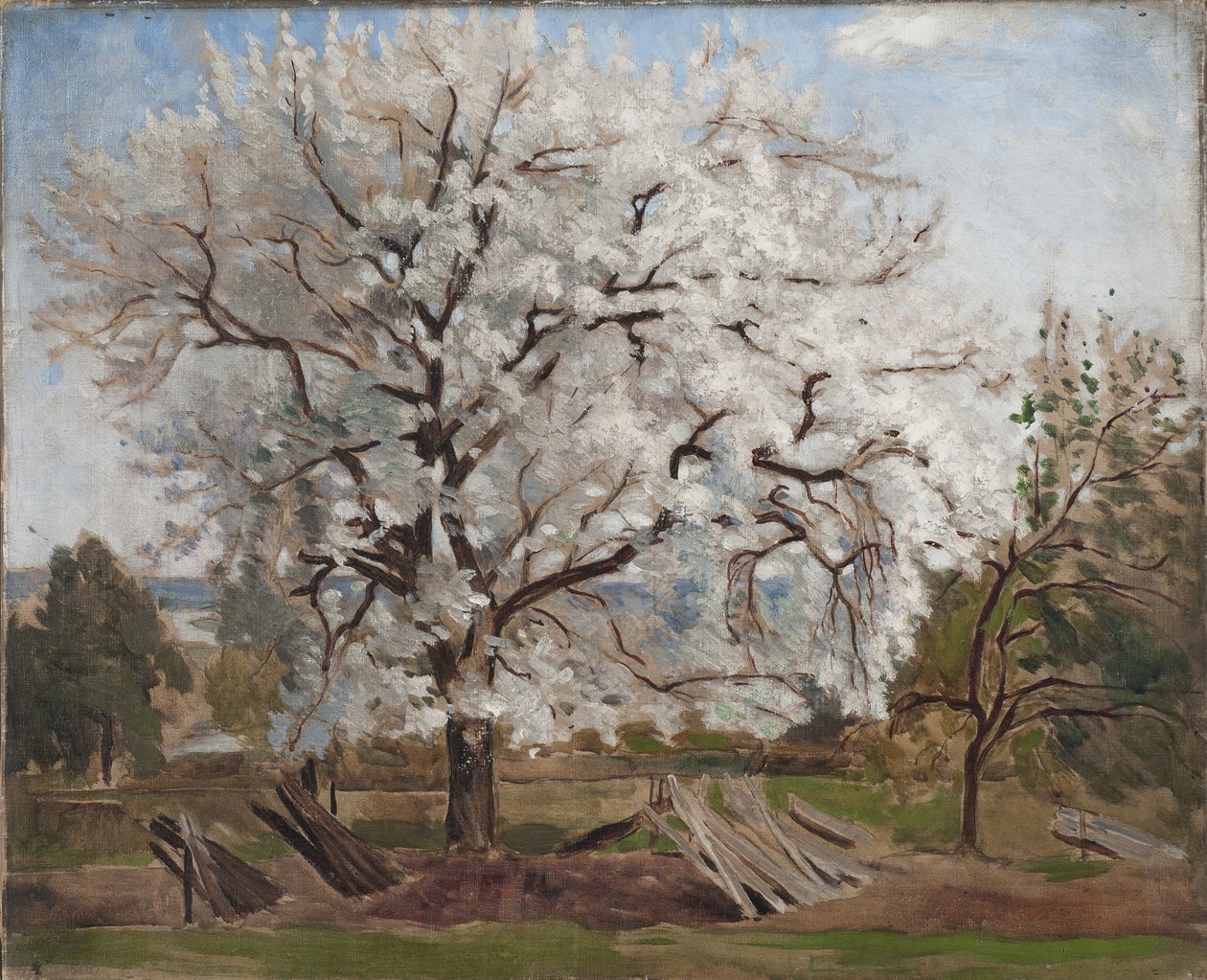 Apple Tree in Blossom, 1877 tekijältä Carl Fredrik Hill