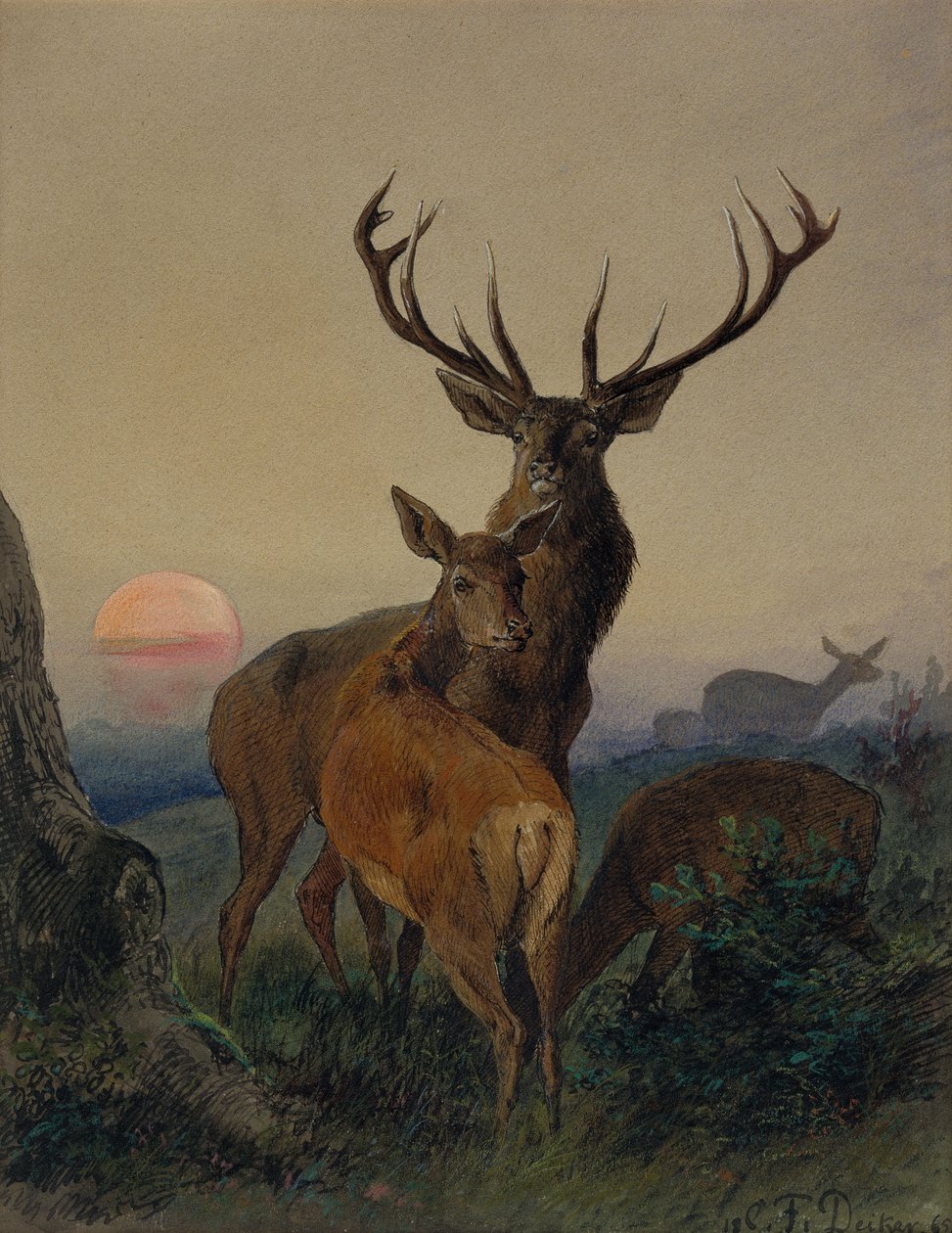 Hirvi peuran kanssa metsäisessä maisemassa auringonlaskun aikaan tekijältä Carl Friedrich Deiker