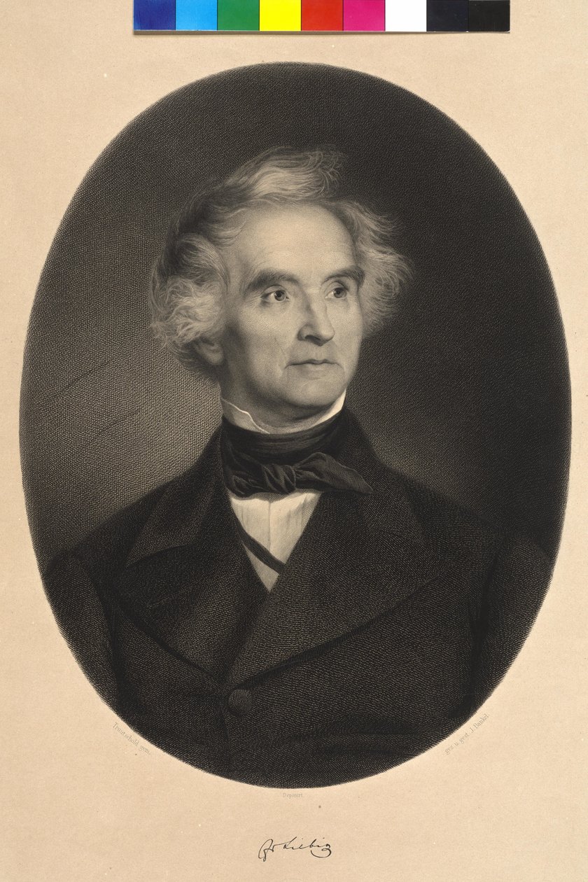 Justus Baron von Liebig tekijältä Carl Friedrich Wilhelm (after) Trautschold
