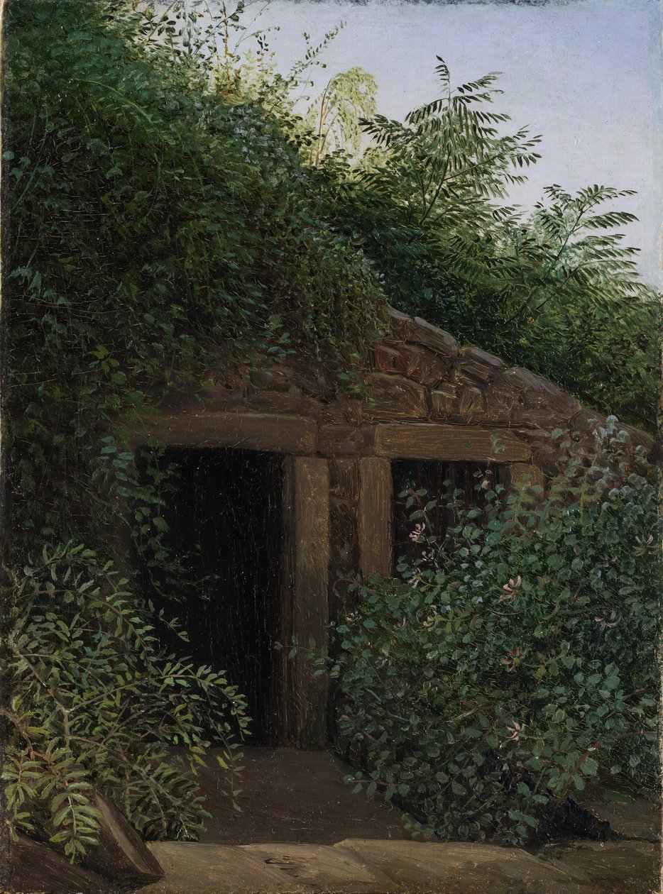 Ylikasvanut kaivoskuilu tekijältä Carl Gustav Carus