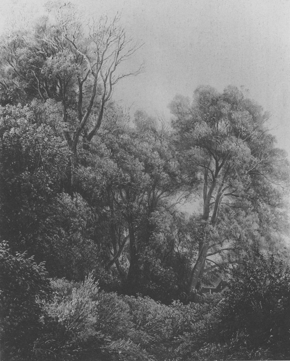 Pillnitz Elben saarella Carl Gustav Carus 1840 tekijältä Carl Gustav Carus