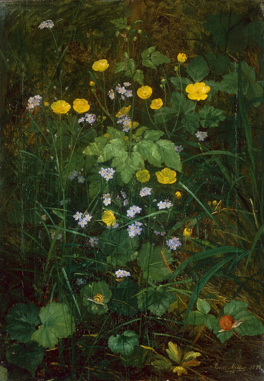 Buttercups ja Forget-Me-Nots metsäkerroksessa tekijältä Carl Henrik Koch Moller