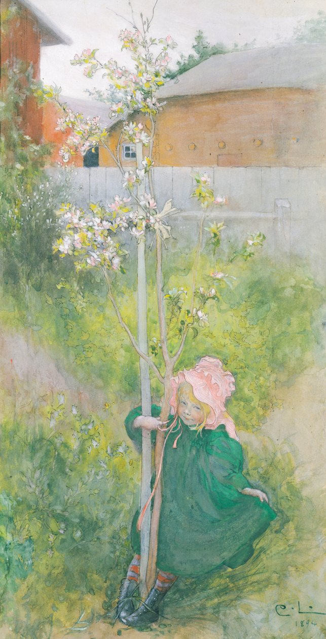 Omenakukka, 1894 tekijältä Carl Larsson