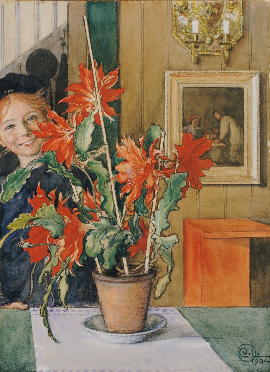 Britan kaktus, 1904 tekijältä Carl Larsson