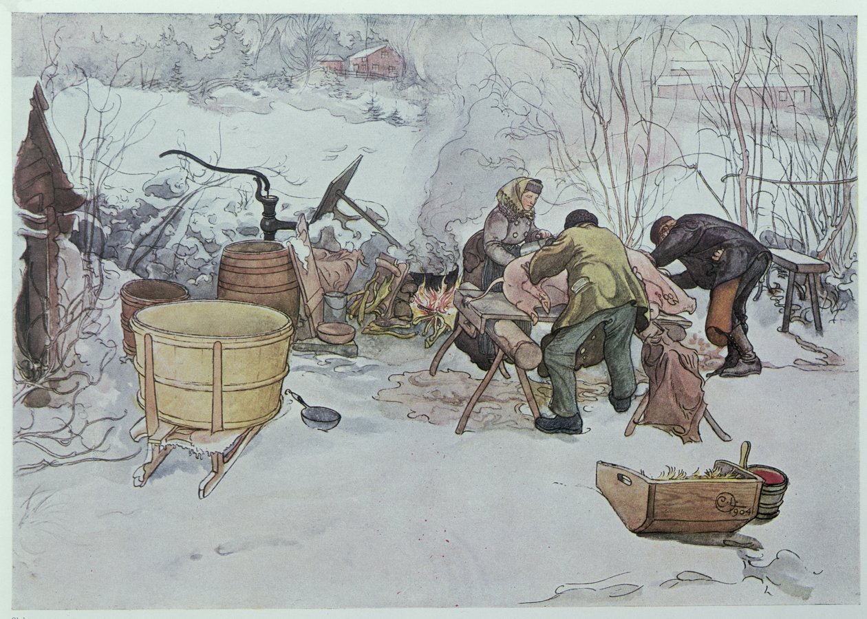 "Killing the Pig", kuvitus "My Little Farm" -lehdelle, julkaistu Ruotsissa, 1904 tekijältä Carl Larsson