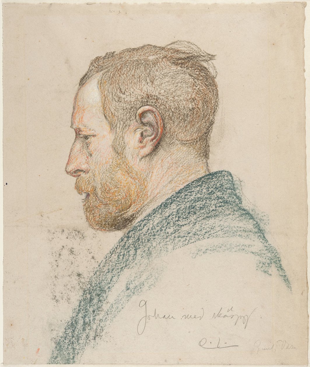 Miehen pää profiilista tekijältä Carl Larsson