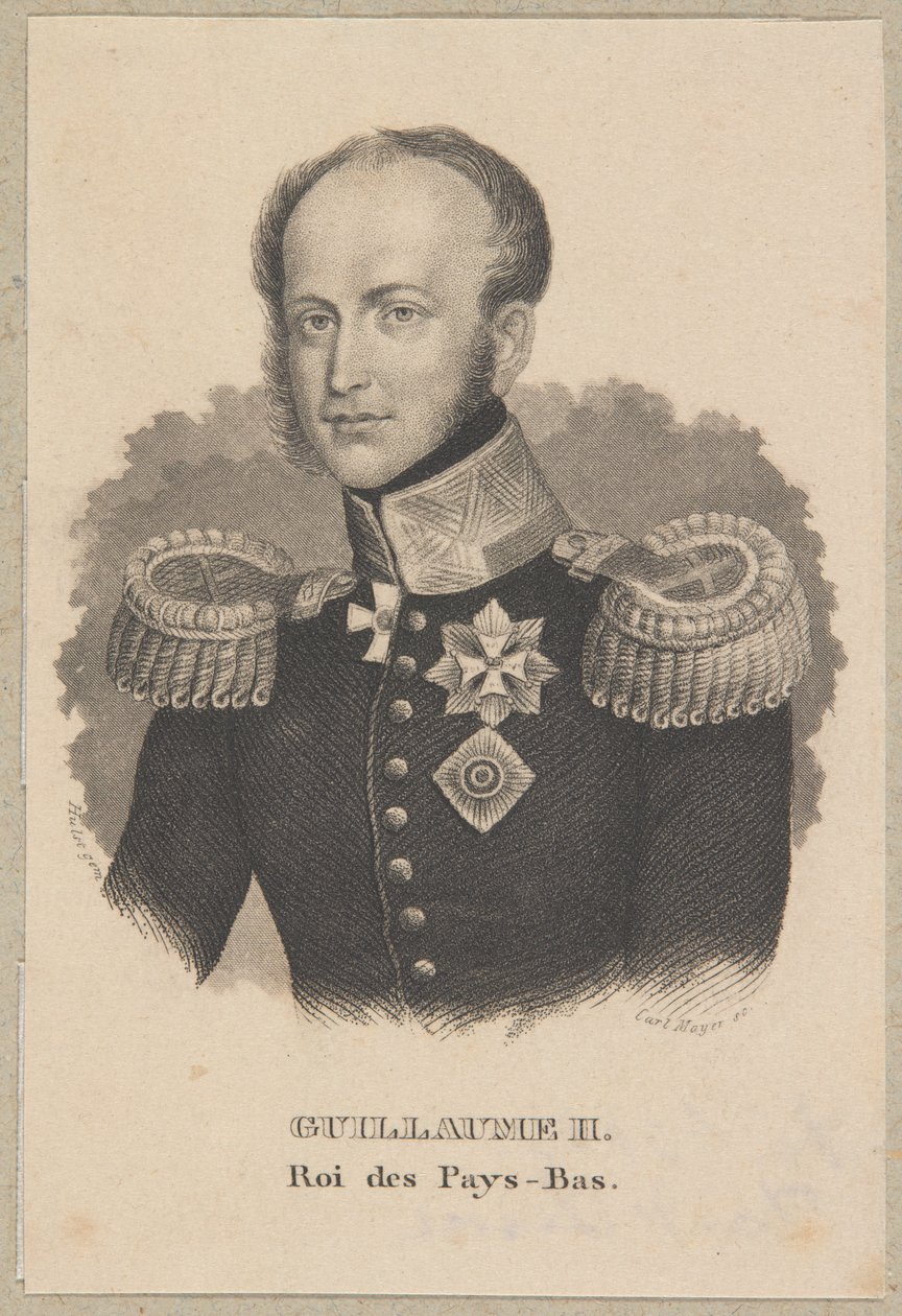 Vilhelm II, Alankomaiden kuningas tekijältä Carl Mayer