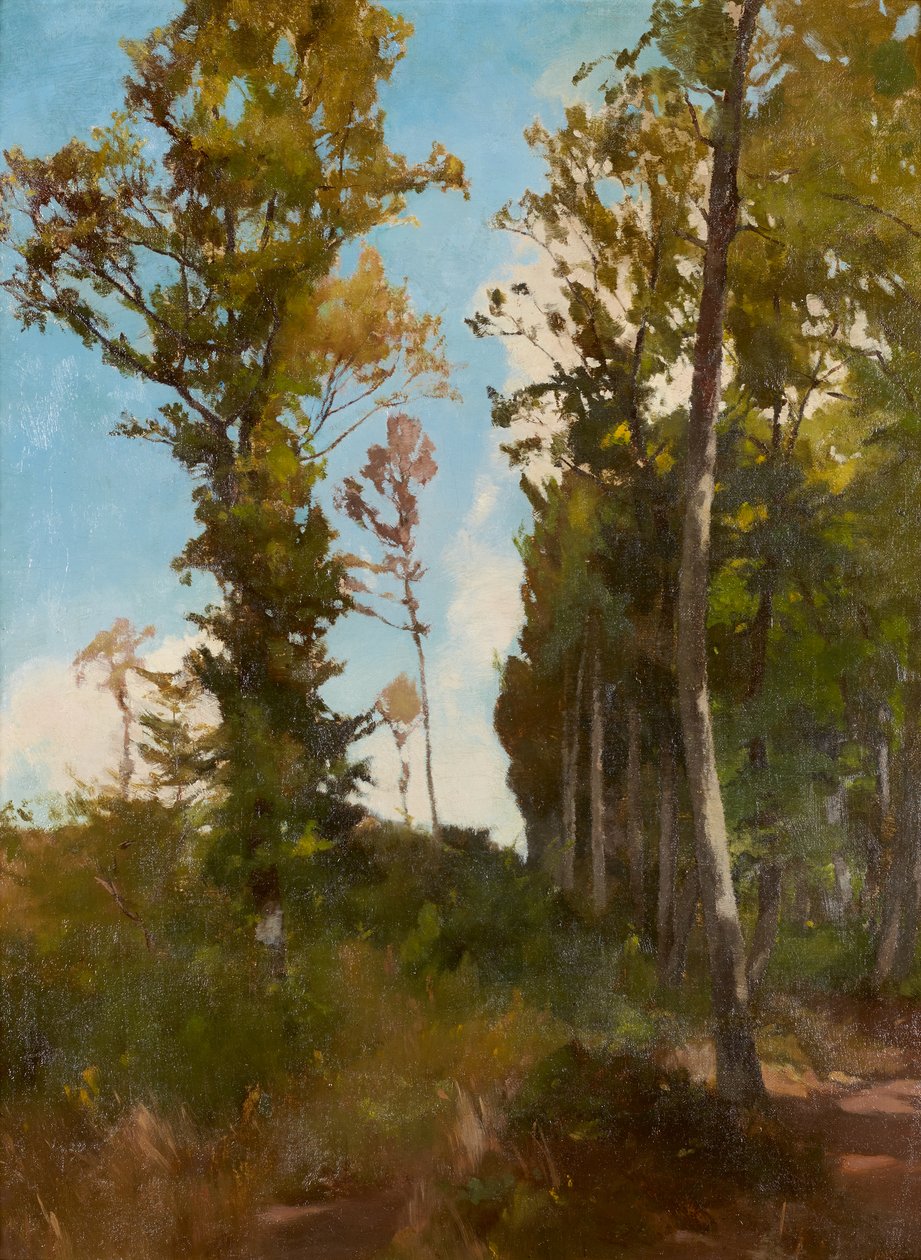 Metsähavainto lähellä Purkersdorfia tekijältä Carl Schuch