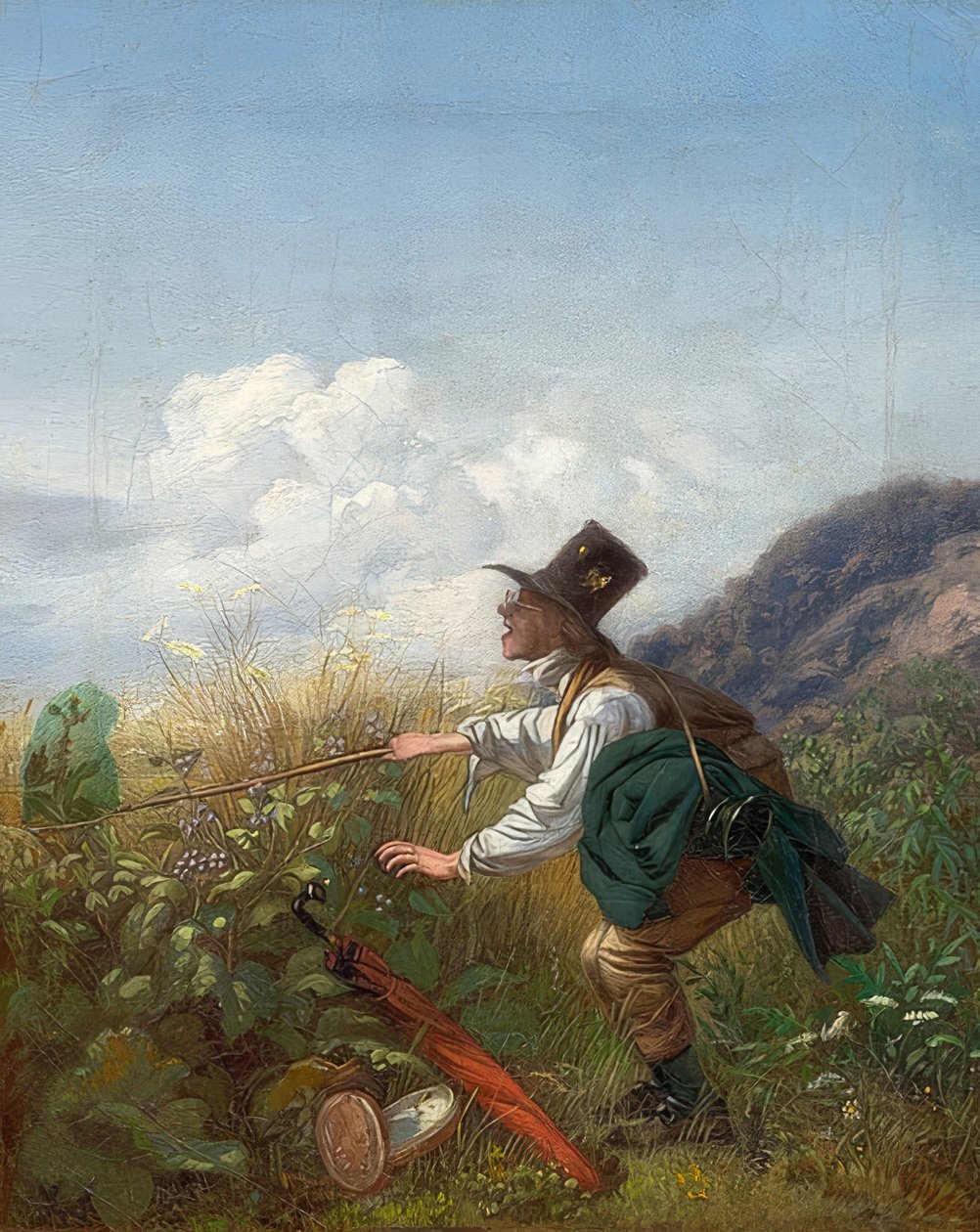 Perhosesipalloilija (kasvitieteilijä). Noin 1837 tekijältä Carl Spitzweg