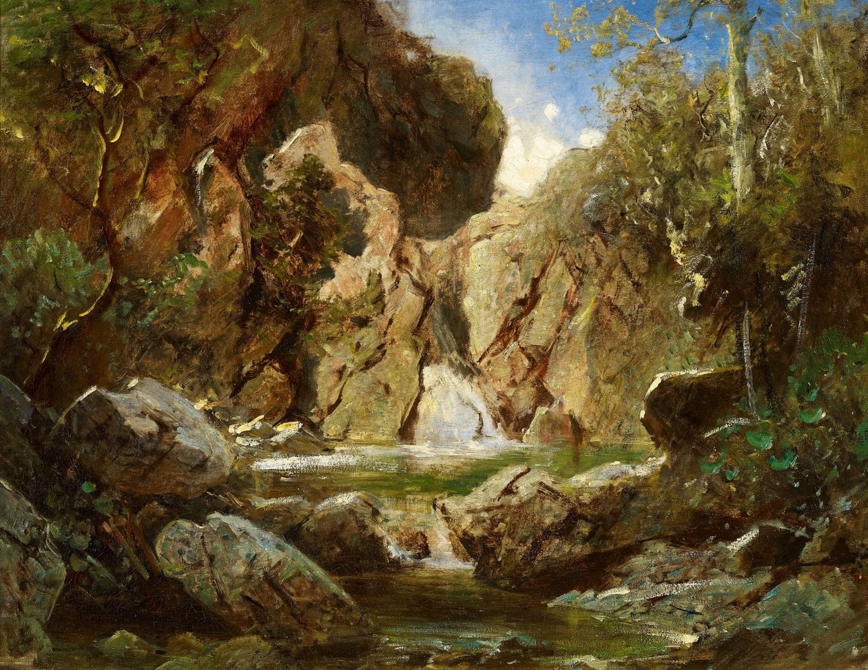 Felsenkessel mit Wildwasser tekijältä Carl Spitzweg