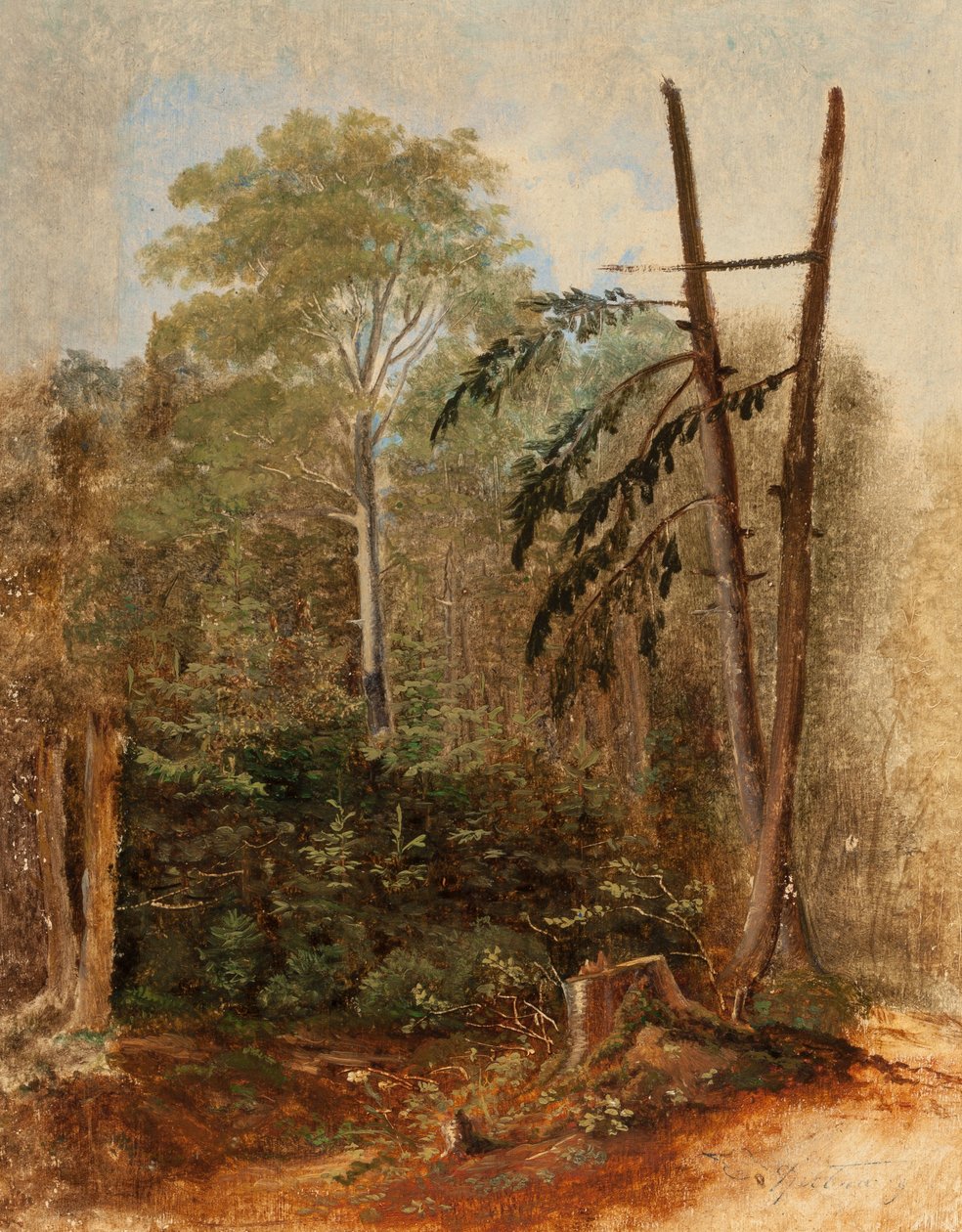Opiskelija Waldlandschaft tekijältä Carl Spitzweg
