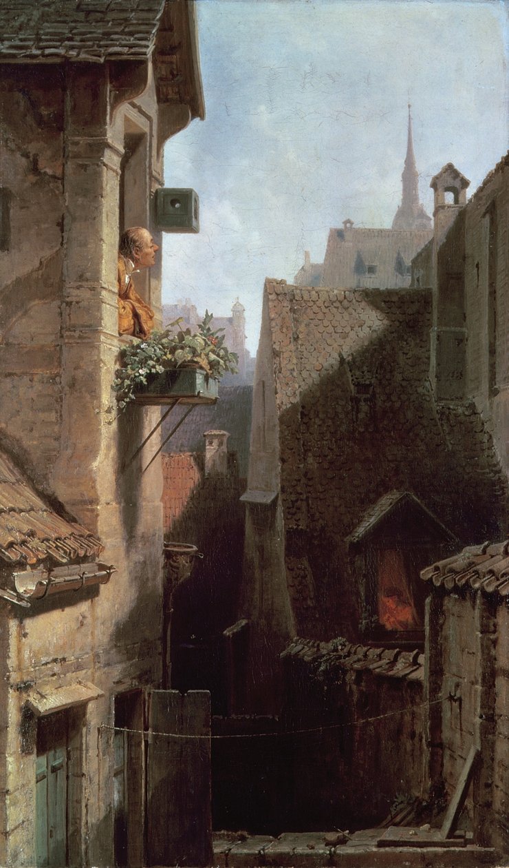 Luulosairas tekijältä Carl Spitzweg