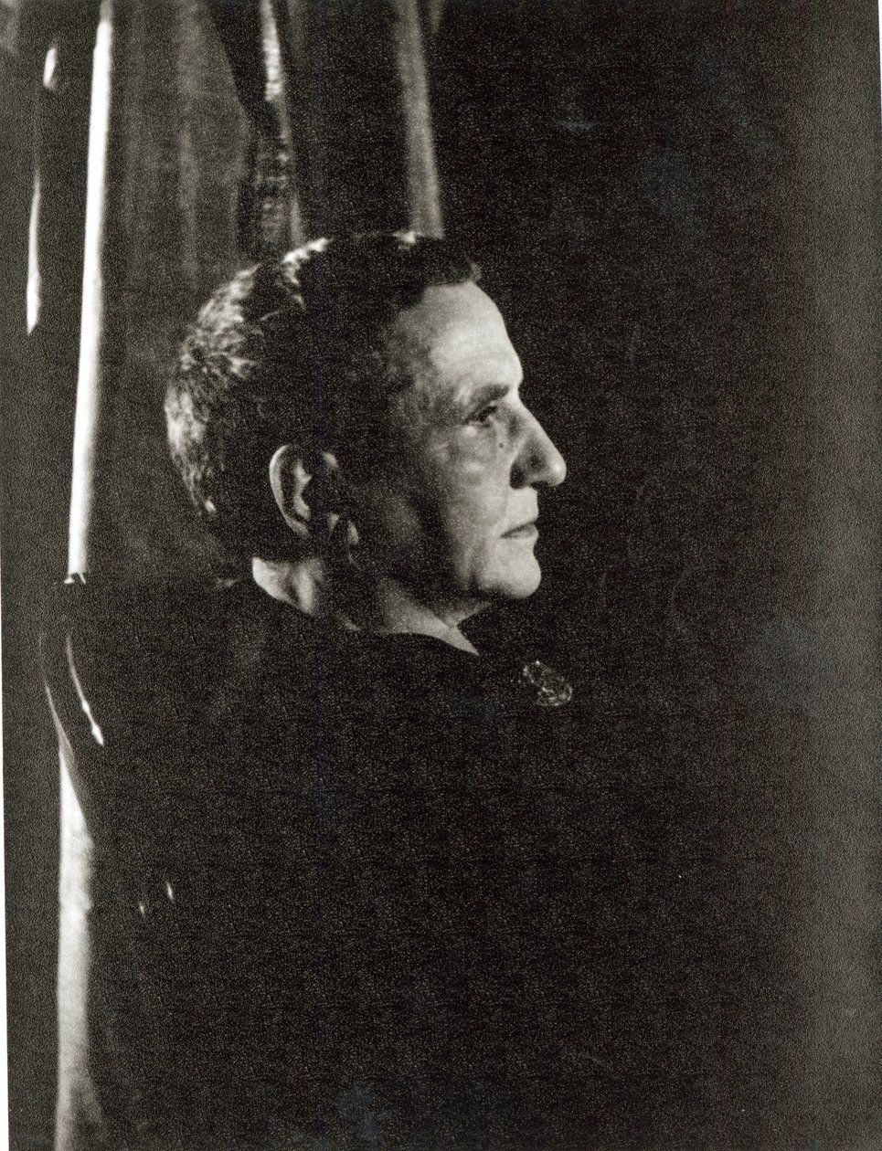 Gertrude Stein (1874-1946) 4. marraskuuta 1934 (gelatiinihopeakuvio) tekijältä Carl Van Vechten