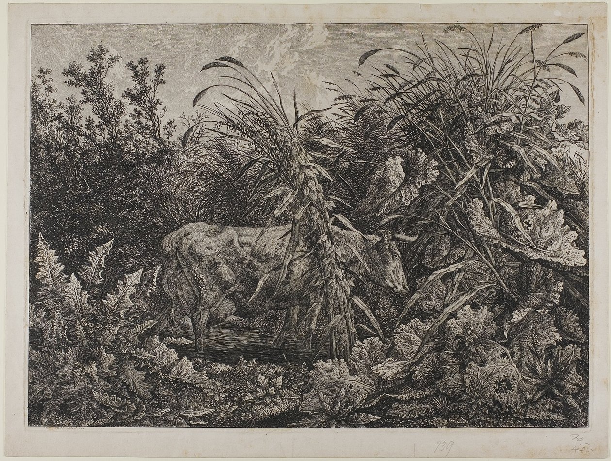 Lehmä purossa tekijältä Carl Wilhelm Kolbe the elder