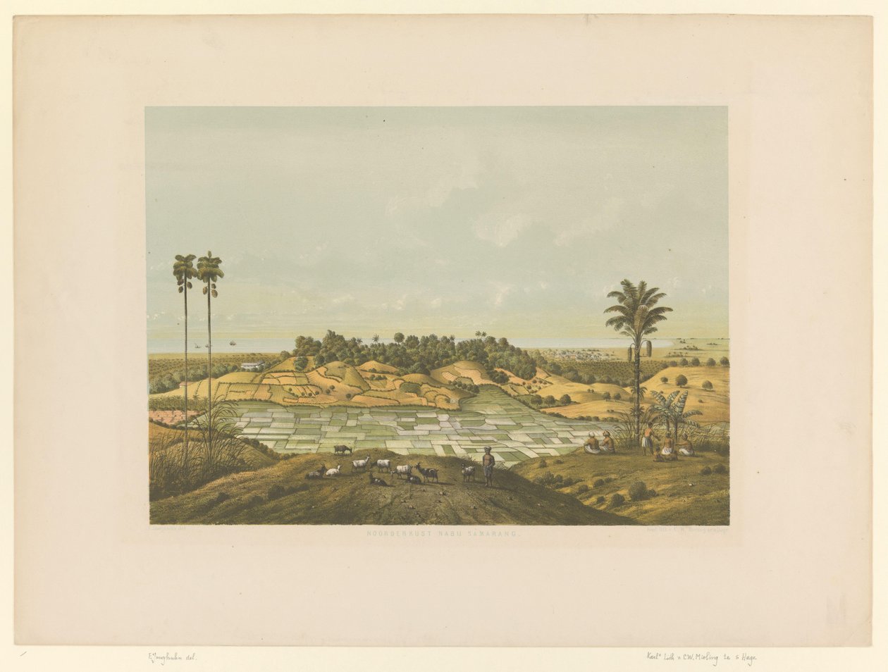 Näkymä maisemaan lähellä Semarangia Pohjoisrannikko Semarangissa (otsikko esineessä) tekijältä Carl Wilhelm Mieling (possibly)