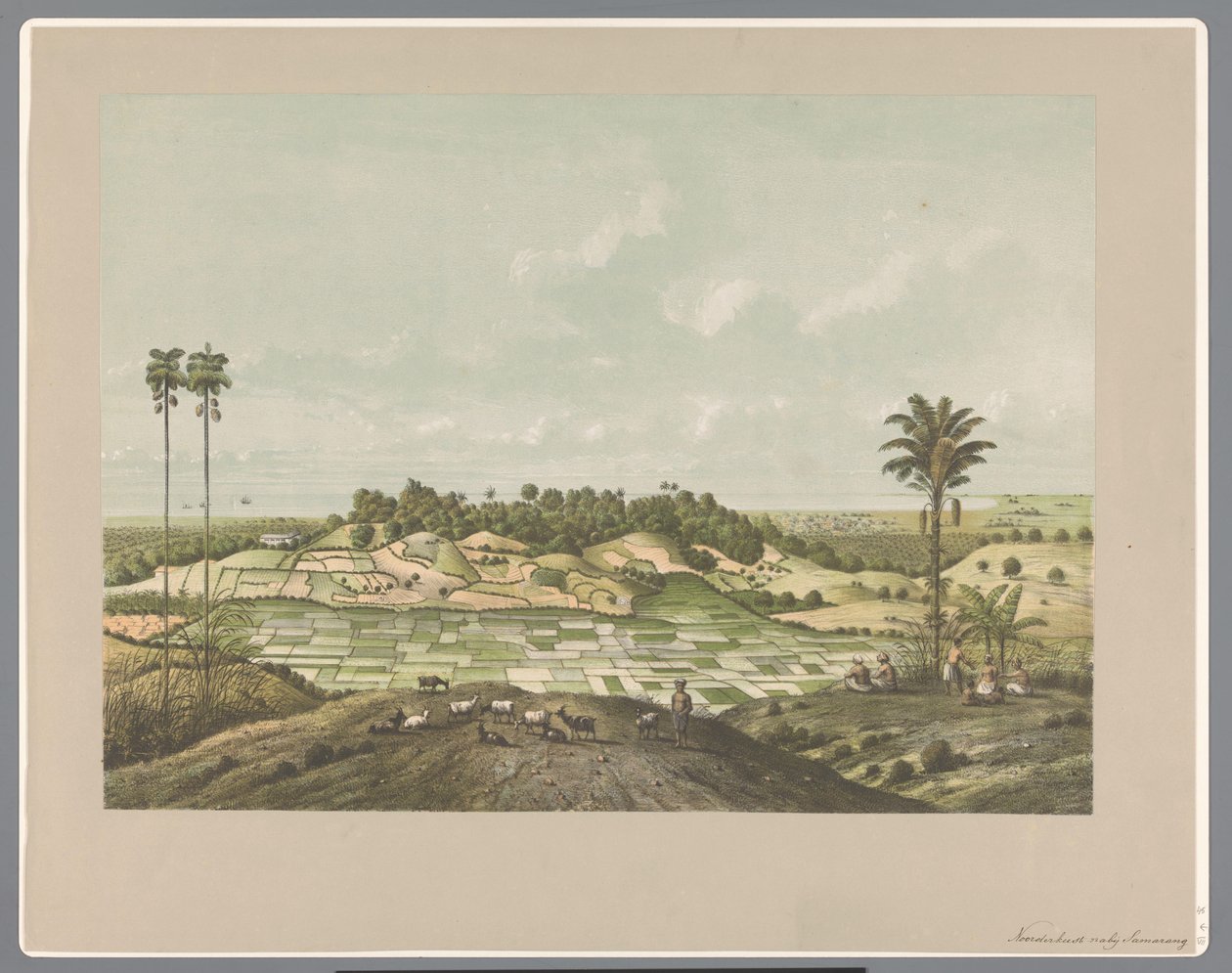 Pohjoisrannikolla lähellä Semarangia tekijältä Carl Wilhelm Mieling (possibly)