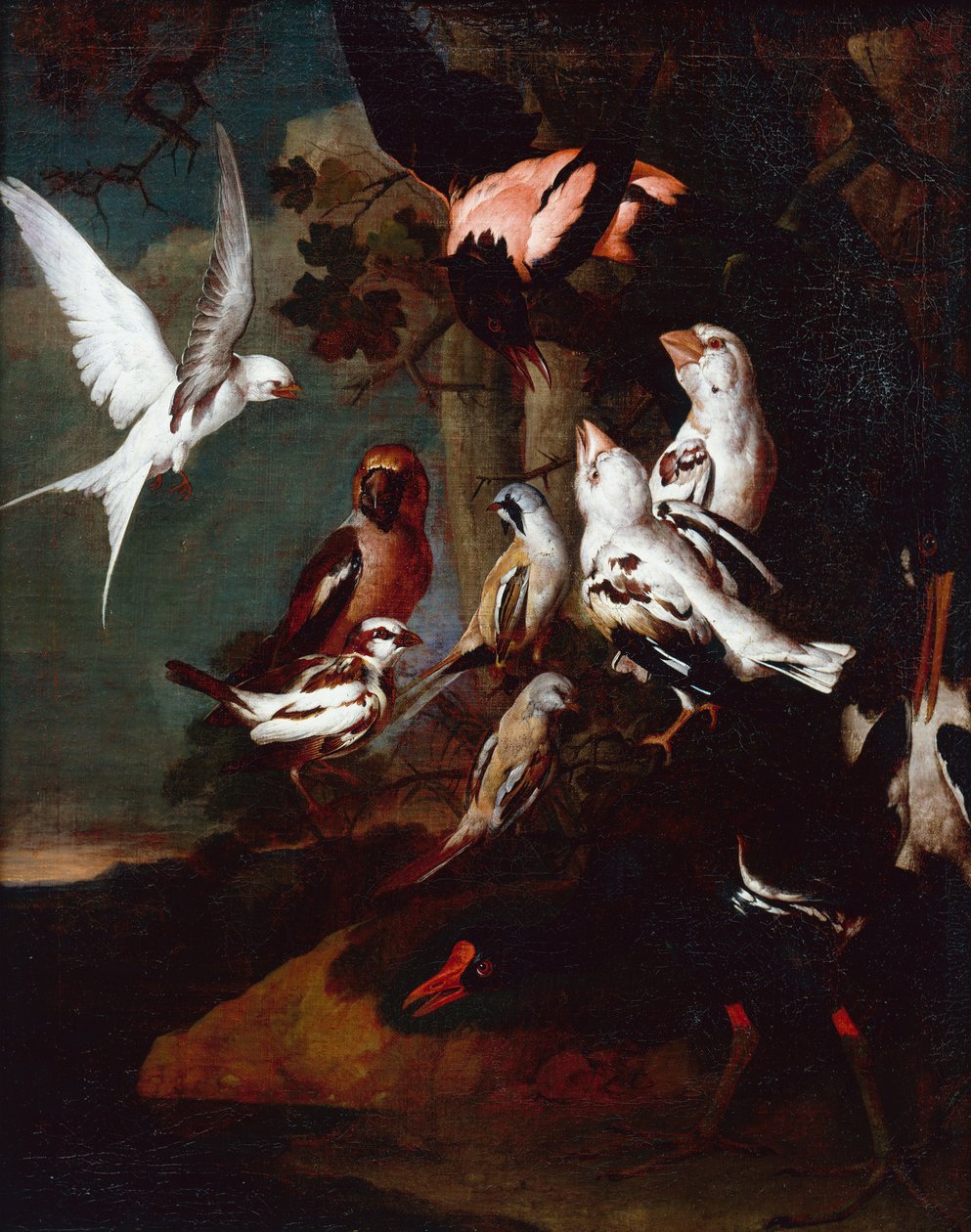Moorhen, pääskynen, peippoja ja muita lintuja metsäisessä jokimaisemassa (öljy kankaalle) tekijältä Carl Wilhelm de Hamilton