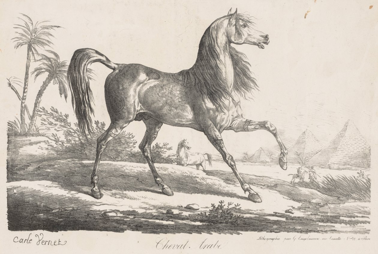 Sarja hevosista: Arabian Horse tekijältä Carle Vernet