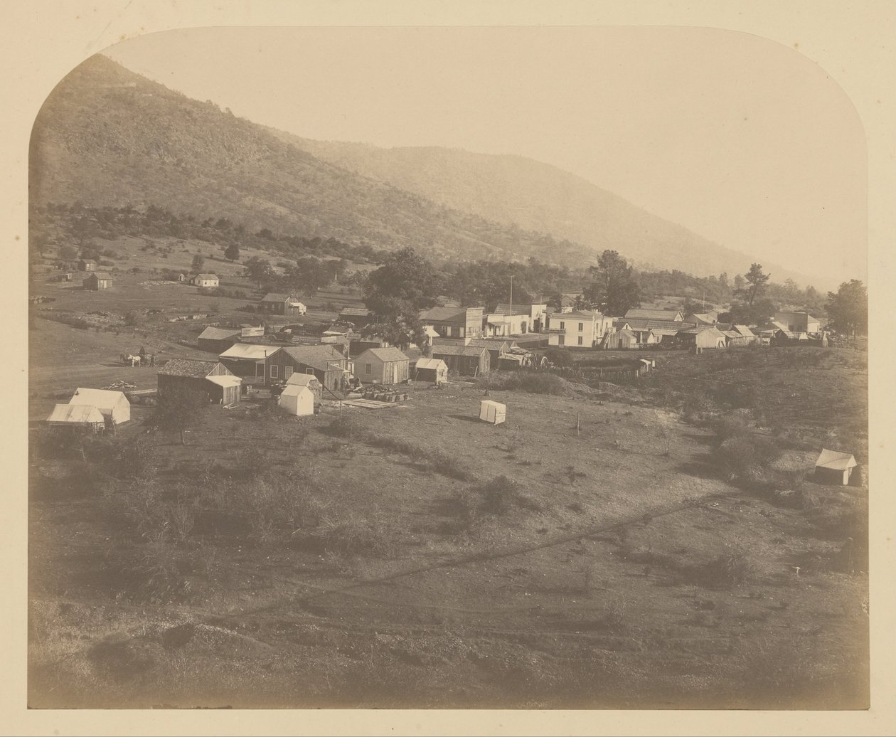 (Karhunlaakso tekijältä Carleton E. Watkins