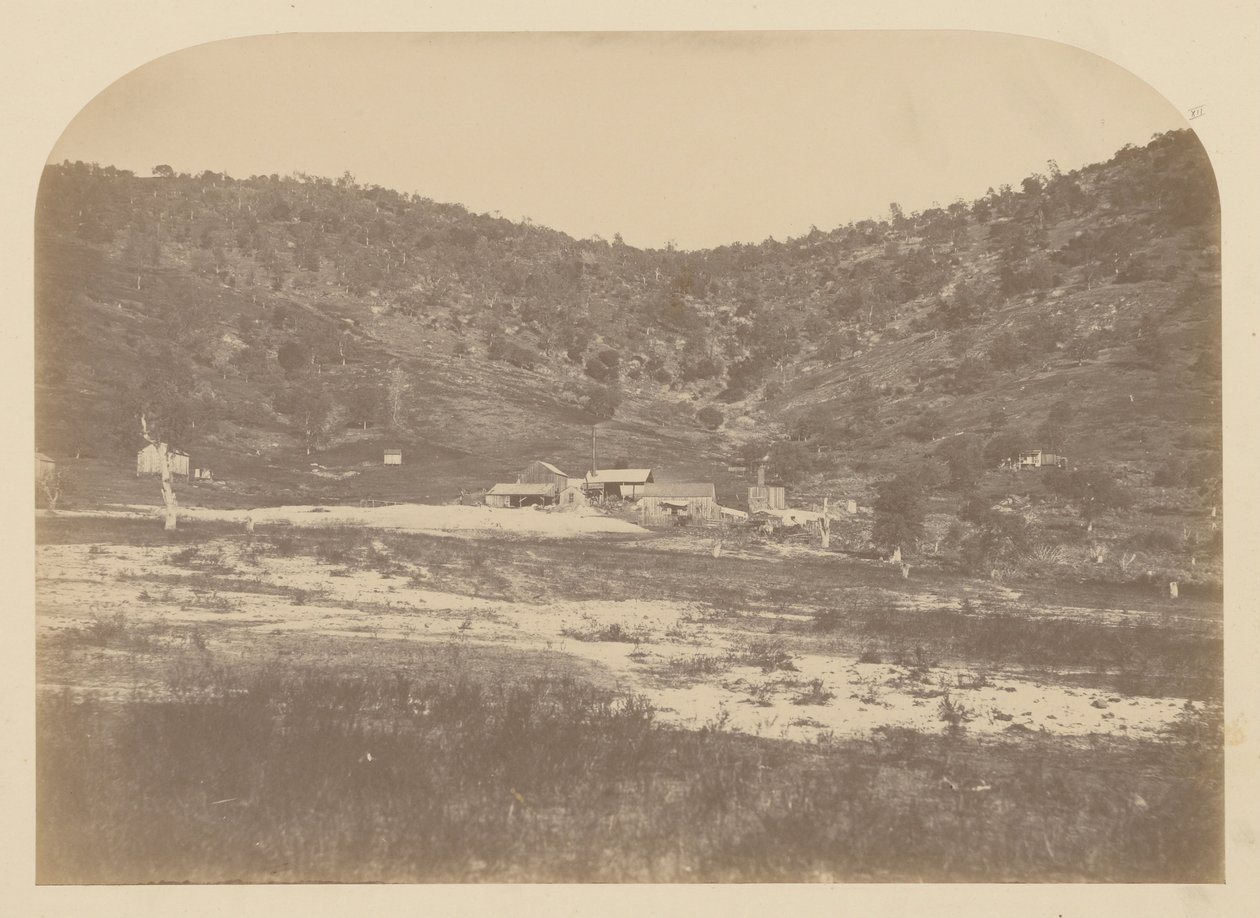 (Bear Valley Mill) tekijältä Carleton E. Watkins