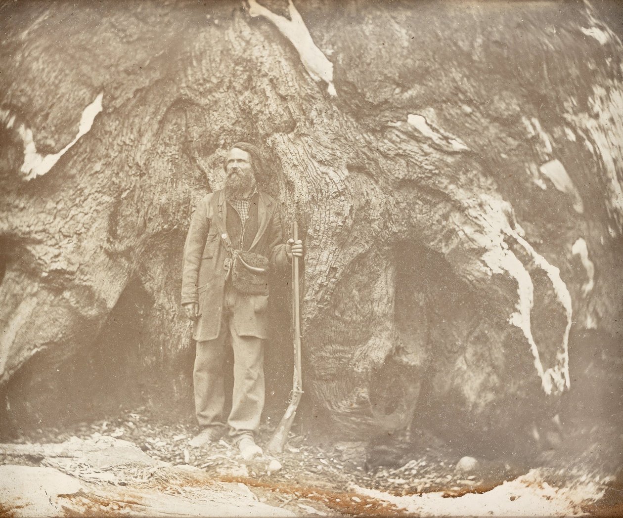 Mariposa Grove. Galen Clark. , Galen Clarkin muotokuva tekijältä Carleton E. Watkins