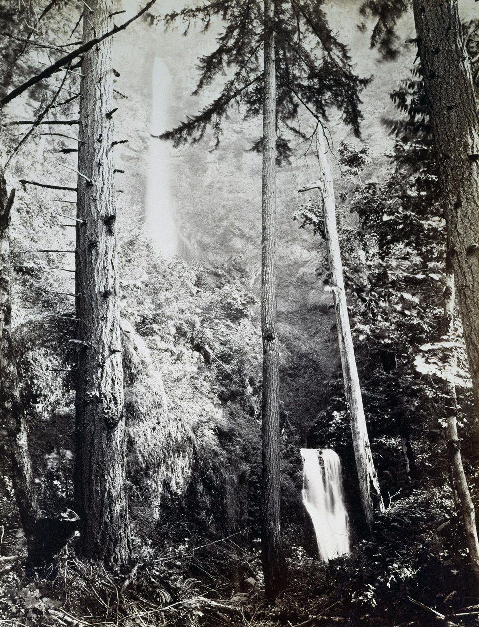 Multnomah Falls, Cascades, Columbia -joki tekijältä Carleton E. Watkins