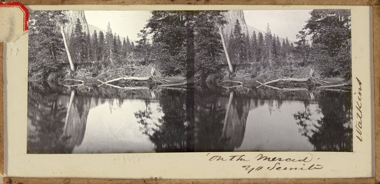 Merced Yosemiten päällä tekijältä Carleton E. Watkins
