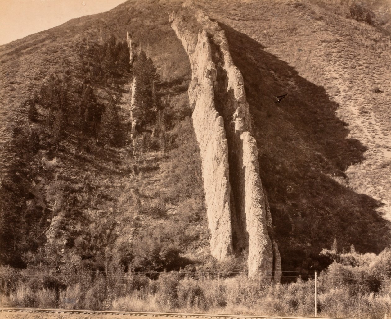 Paholaisen liukumäki tekijältä Carleton E. Watkins