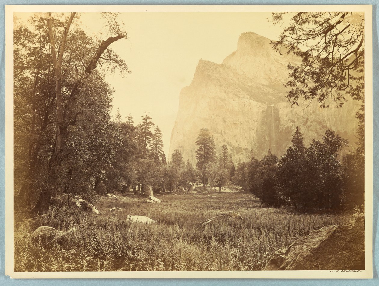 Drive, Bridal Veil, Yosemite tekijältä Carleton E. Watkins