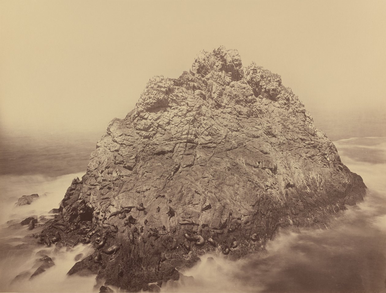 Sugar Loaf Island, Farallons tekijältä Carleton E. Watkins