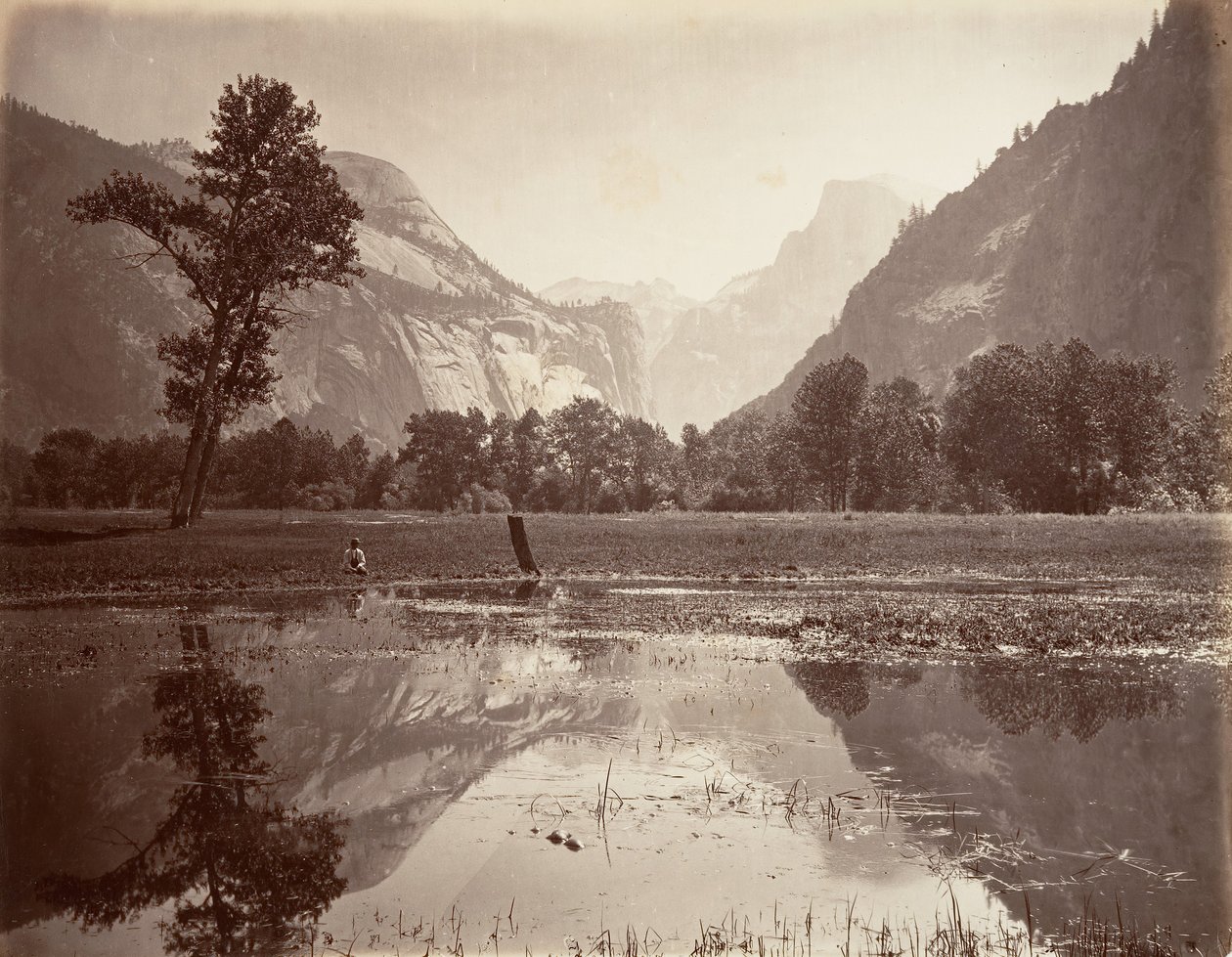The Domes, Yosemite, n. 1872, painettu n. 1876. tekijältä Carleton E. Watkins.