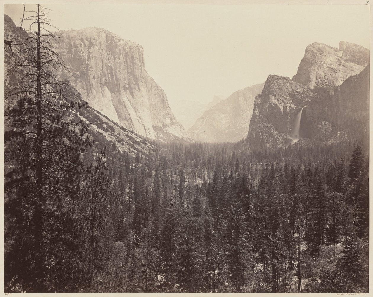 Yosemiten laakso Mariposa Traililta tekijältä Carleton E. Watkins