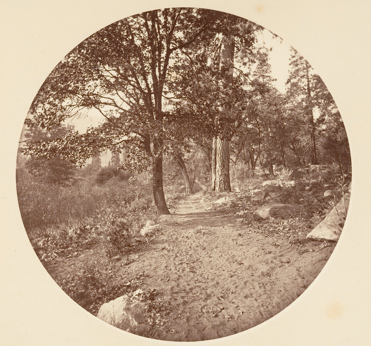 Yosemiten laaksossa n. 1878. tekijältä Carleton Emmons Watkins