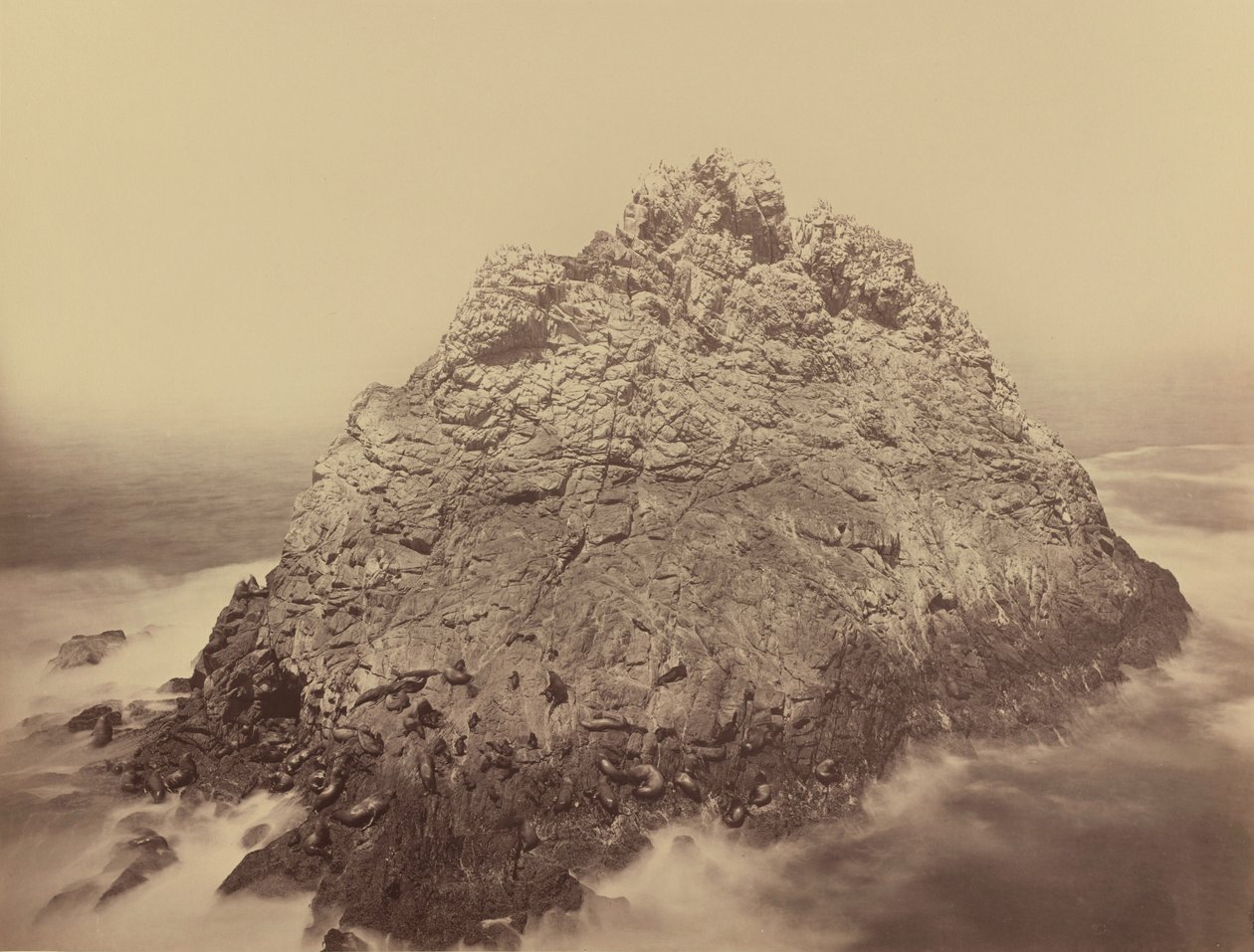 Sugar Loaf Island, Farallons,1868/1869 (kuva) tekijältä Carleton Emmons Watkins