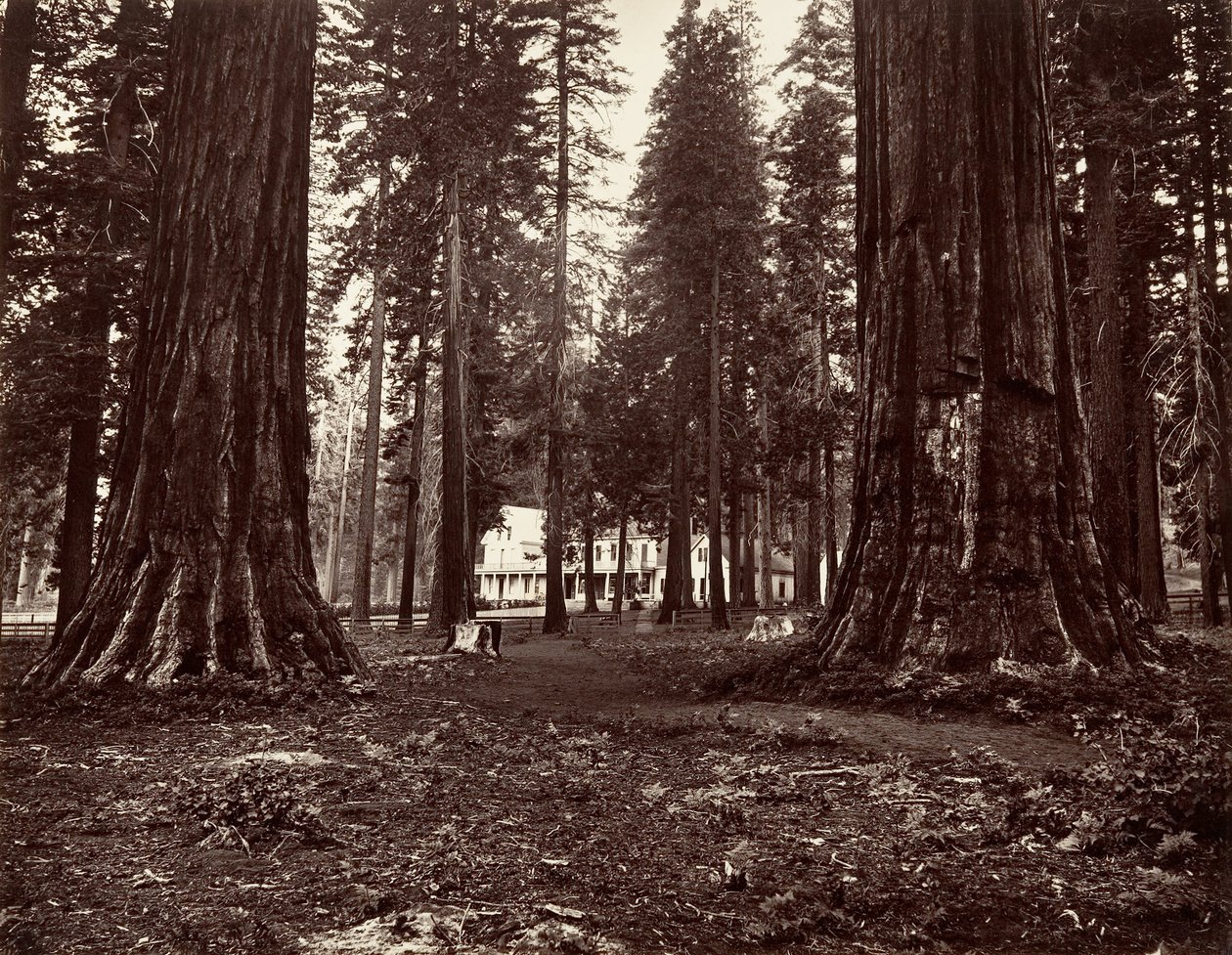 Hotelli Mammoth Grovesta, n. 1872, painettu n. 1876. tekijältä Carleton Emmons Watkins