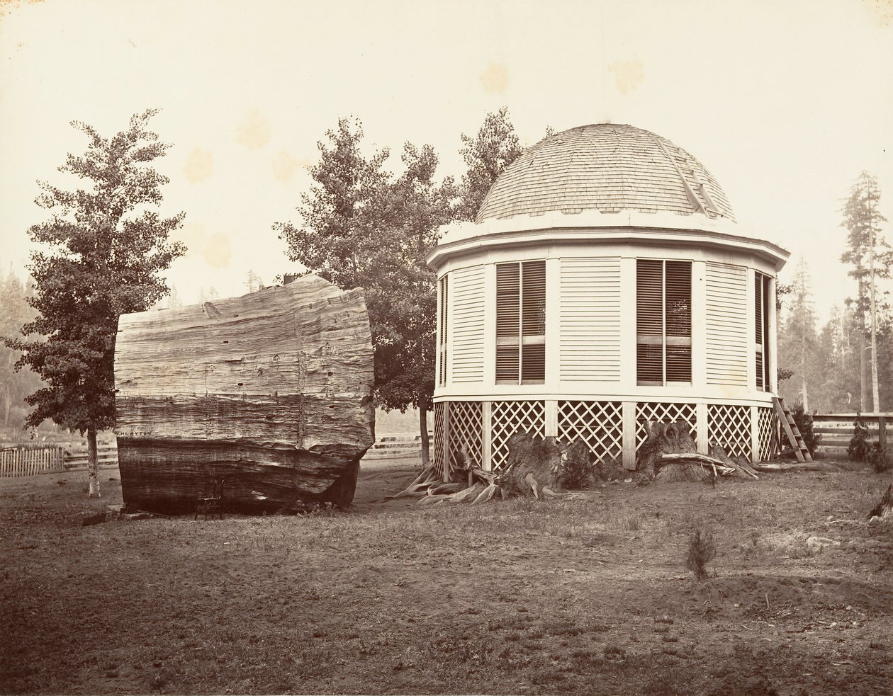Talo suuren puun kannon päällä, 1865-66, painettu n. 1876. tekijältä Carleton Emmons Watkins