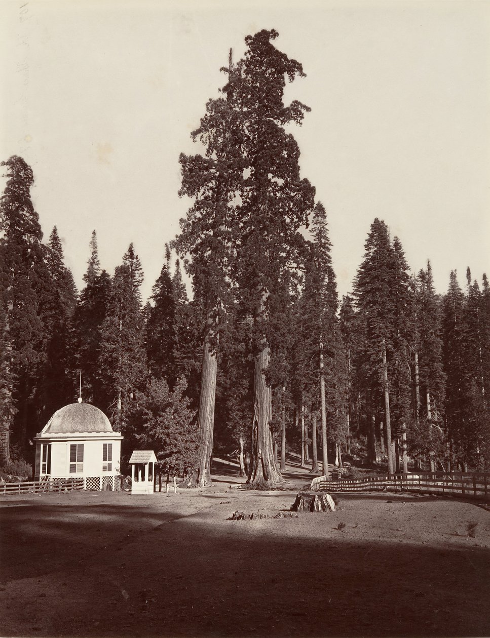 Sentinel, 315 jalkaa, 1865-66, painettu n. 1876. tekijältä Carleton Emmons Watkins