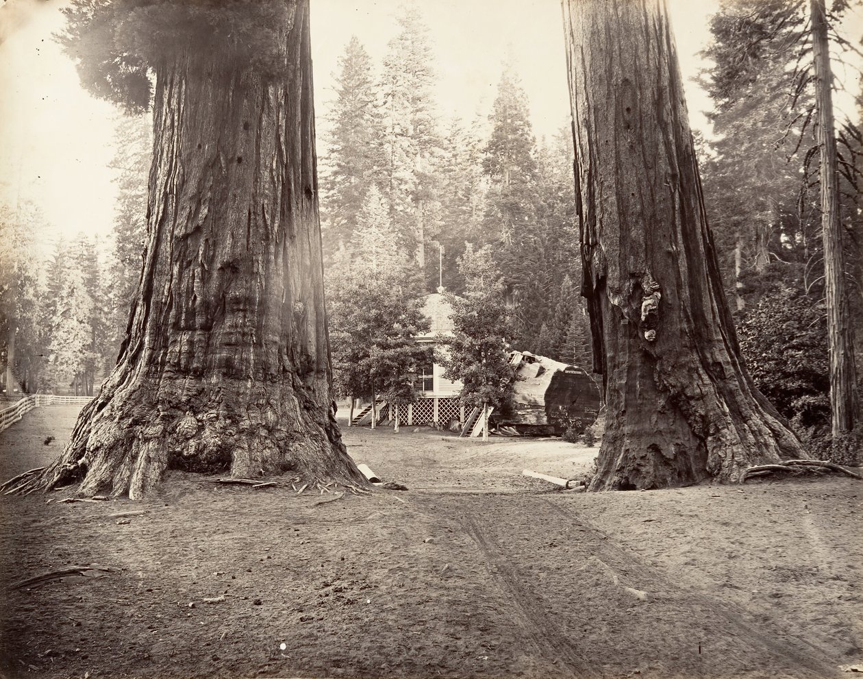 Sentinels, 315 jalkaa, Yosemite, n. 1872, painettu n. 1876. tekijältä Carleton Emmons Watkins