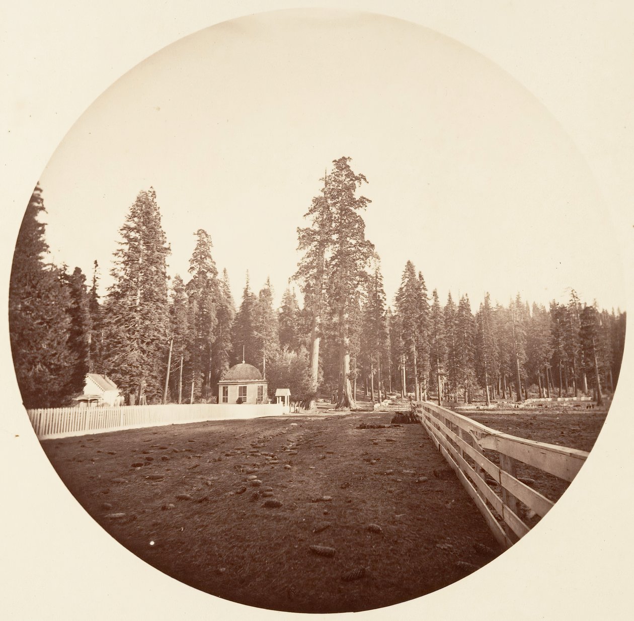 Sentinelit. C. Grove, n. 1878. tekijältä Carleton Emmons Watkins