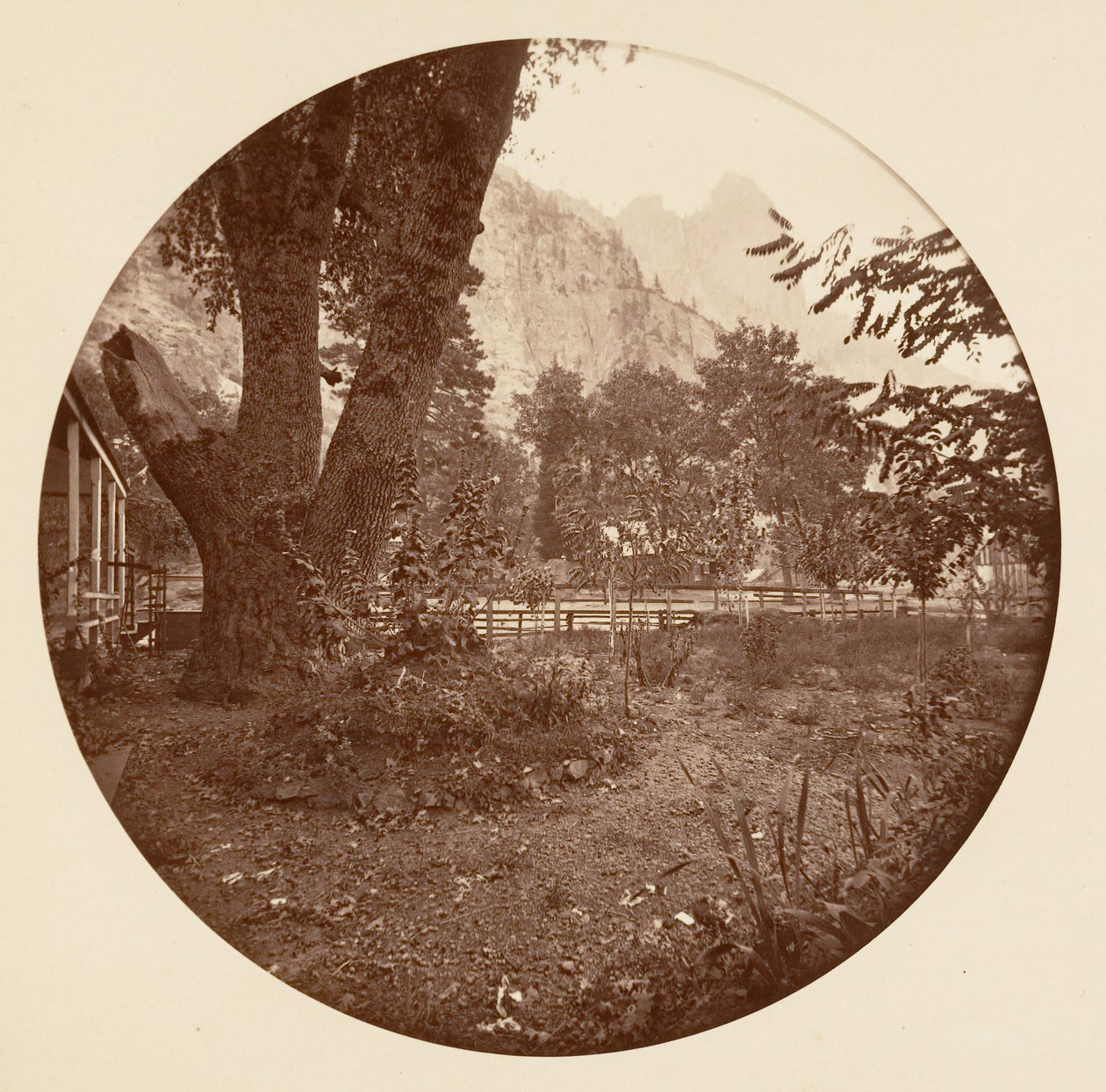 [Yosemiten kansallispuisto, Kalifornia], n. 1878. tekijältä Carleton Emmons Watkins